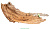 DECO NATURE WOOD AMAZON 5XL - Натуральная коряга мангрового дерева от 70 до 79 см